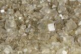 Translucent Cubic Fluorite Crystals With Pyrite - China #186040-2